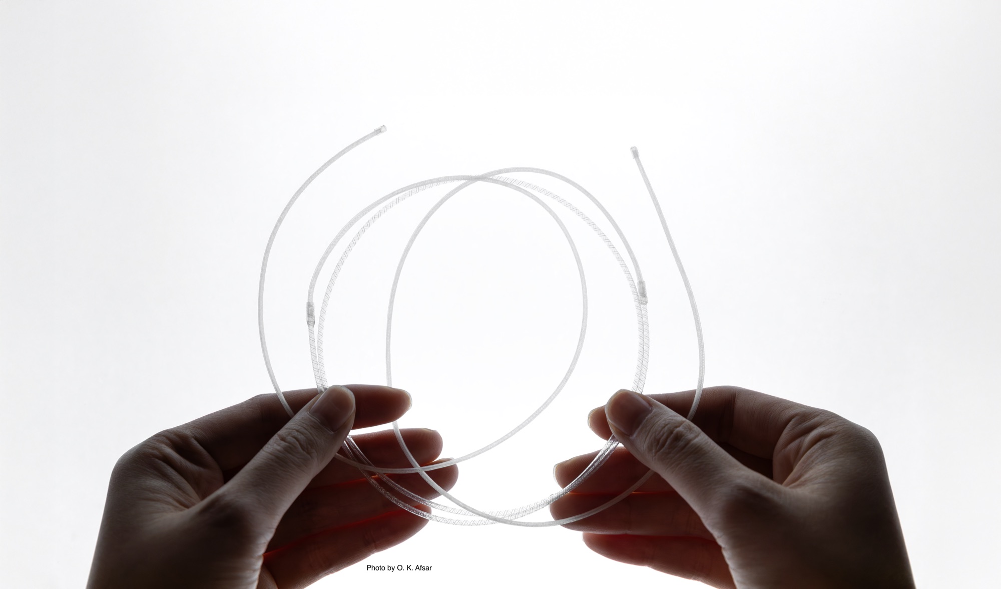 Two hands holding an electrofluidic fiber muscle: a translucent fiber a couple of millimetres thick, coiled into loops against a white background